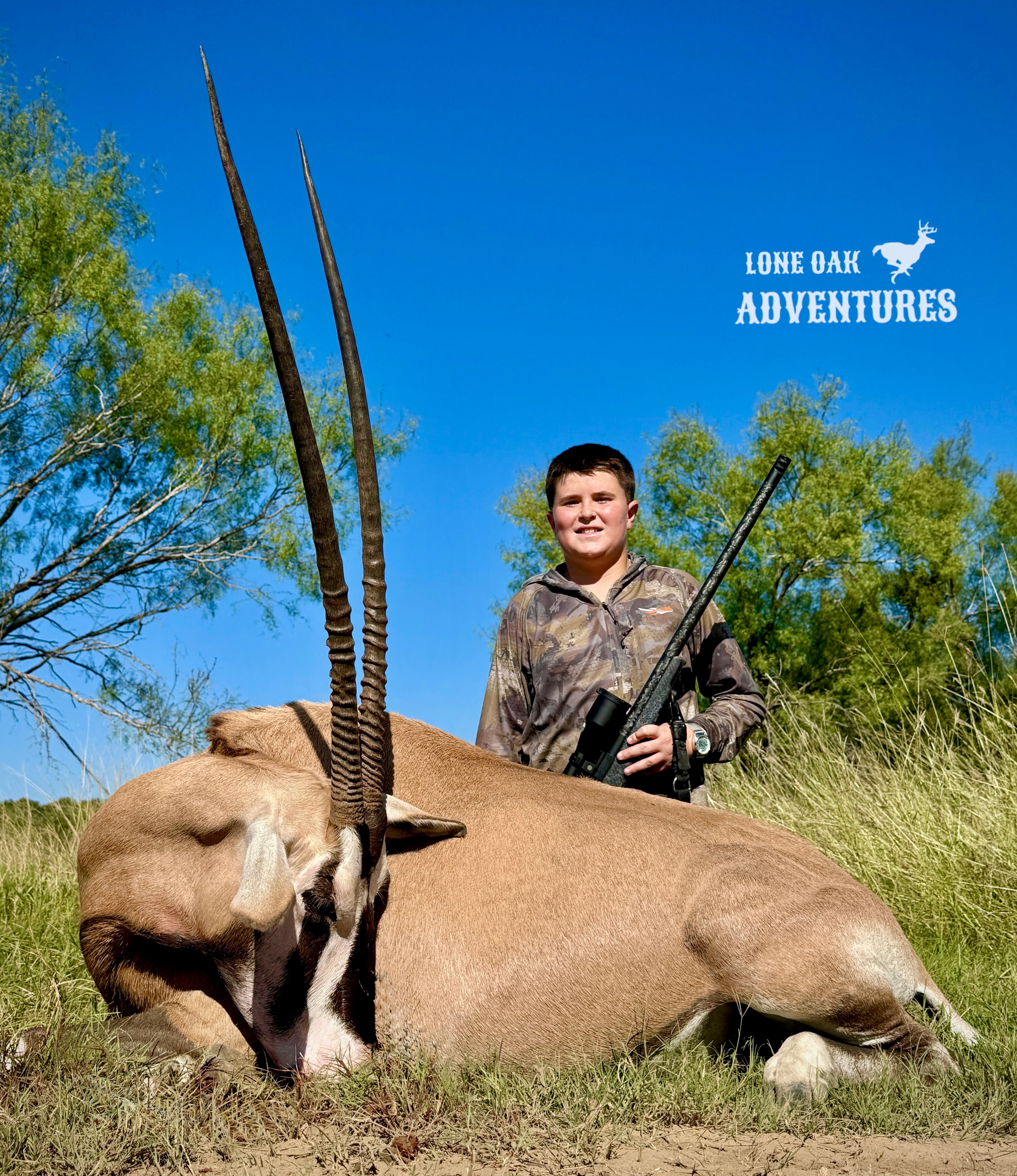 Blackbuck antelope with spiral horns