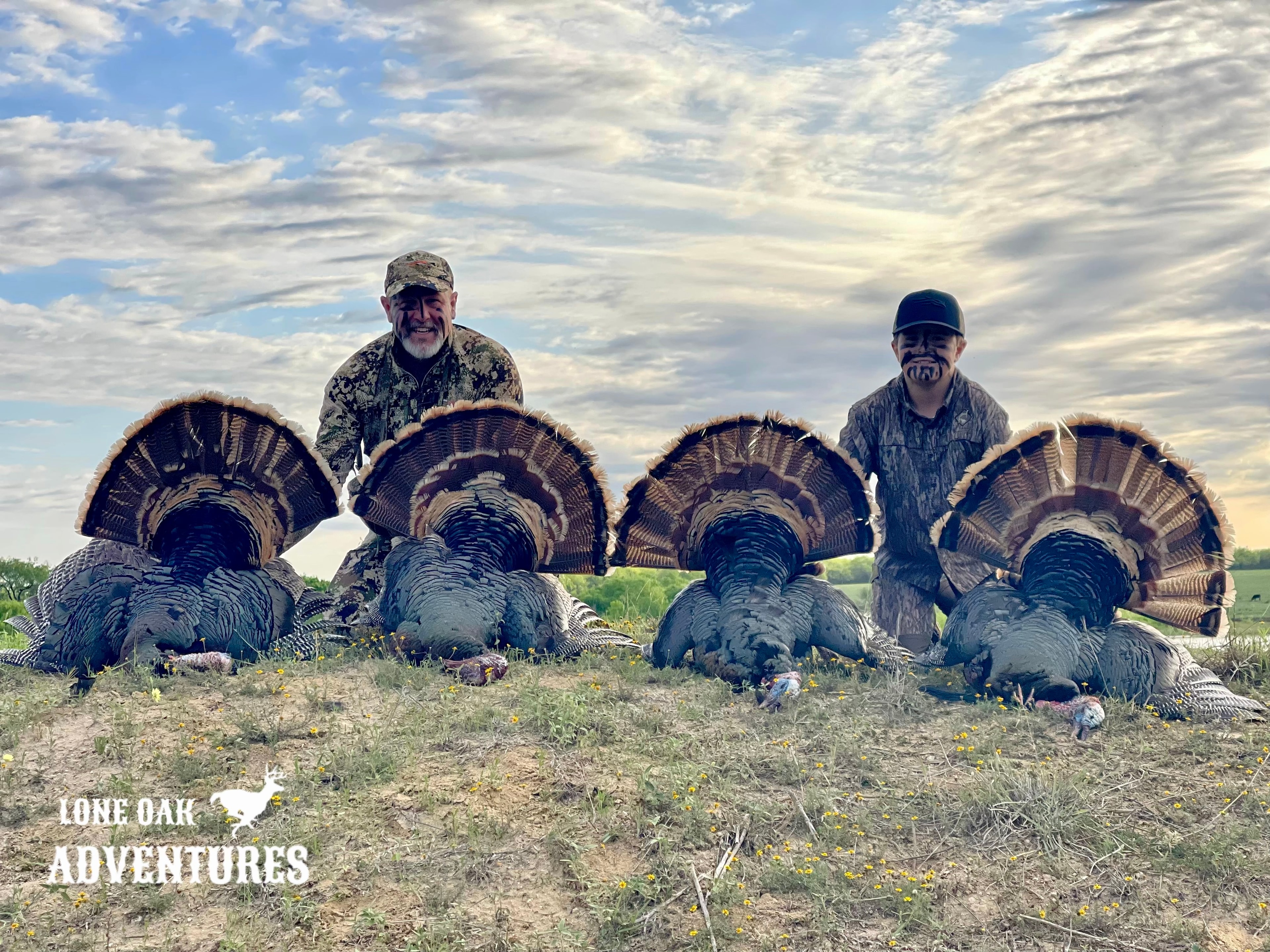 Wild turkey gobbler strutting on Texas ranch