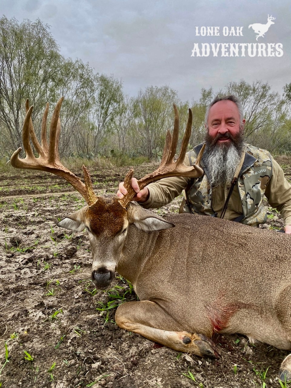 Trophy whitetail deer buck in South Texas
