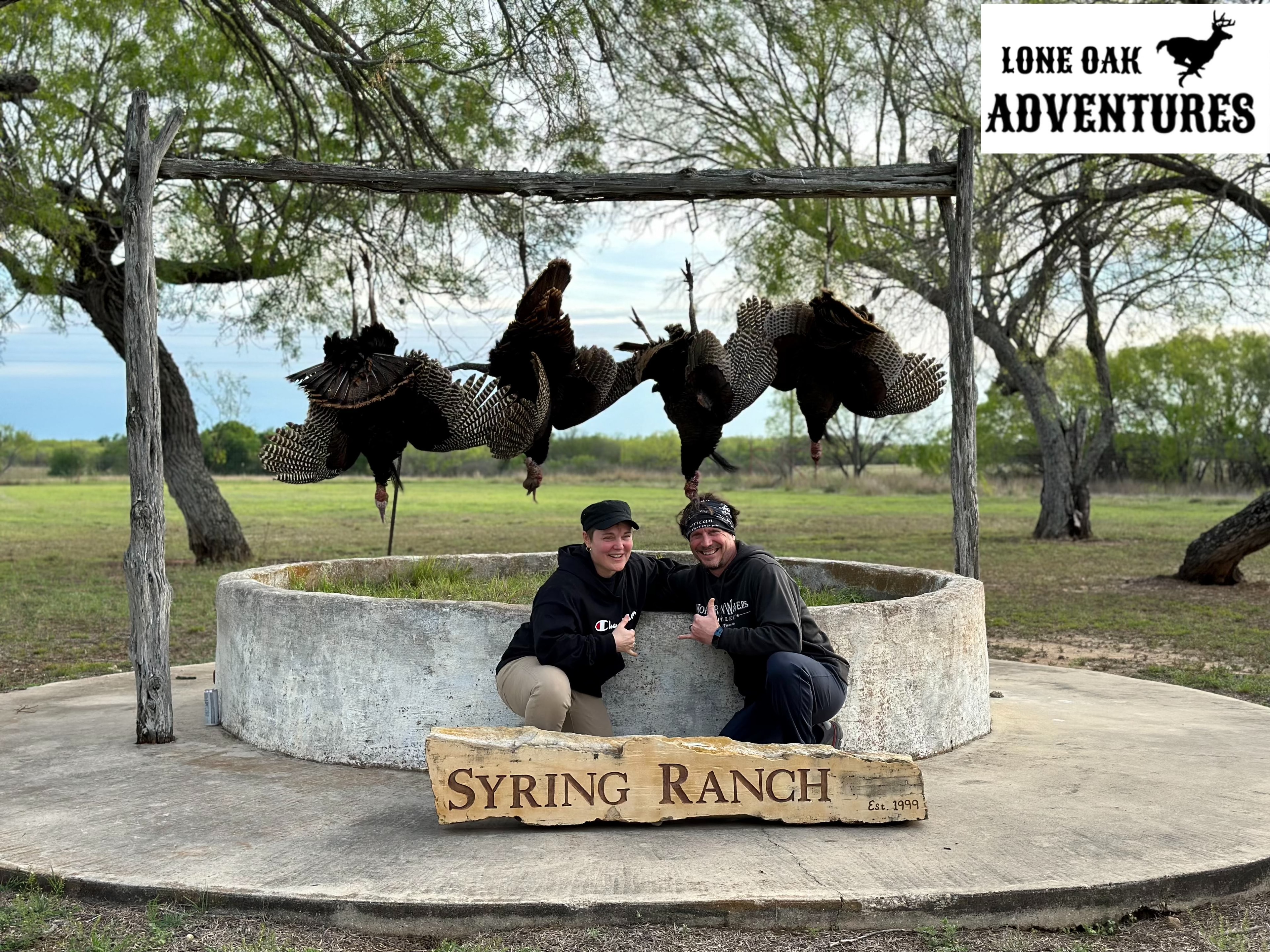 Wild turkey flock on Texas ranch