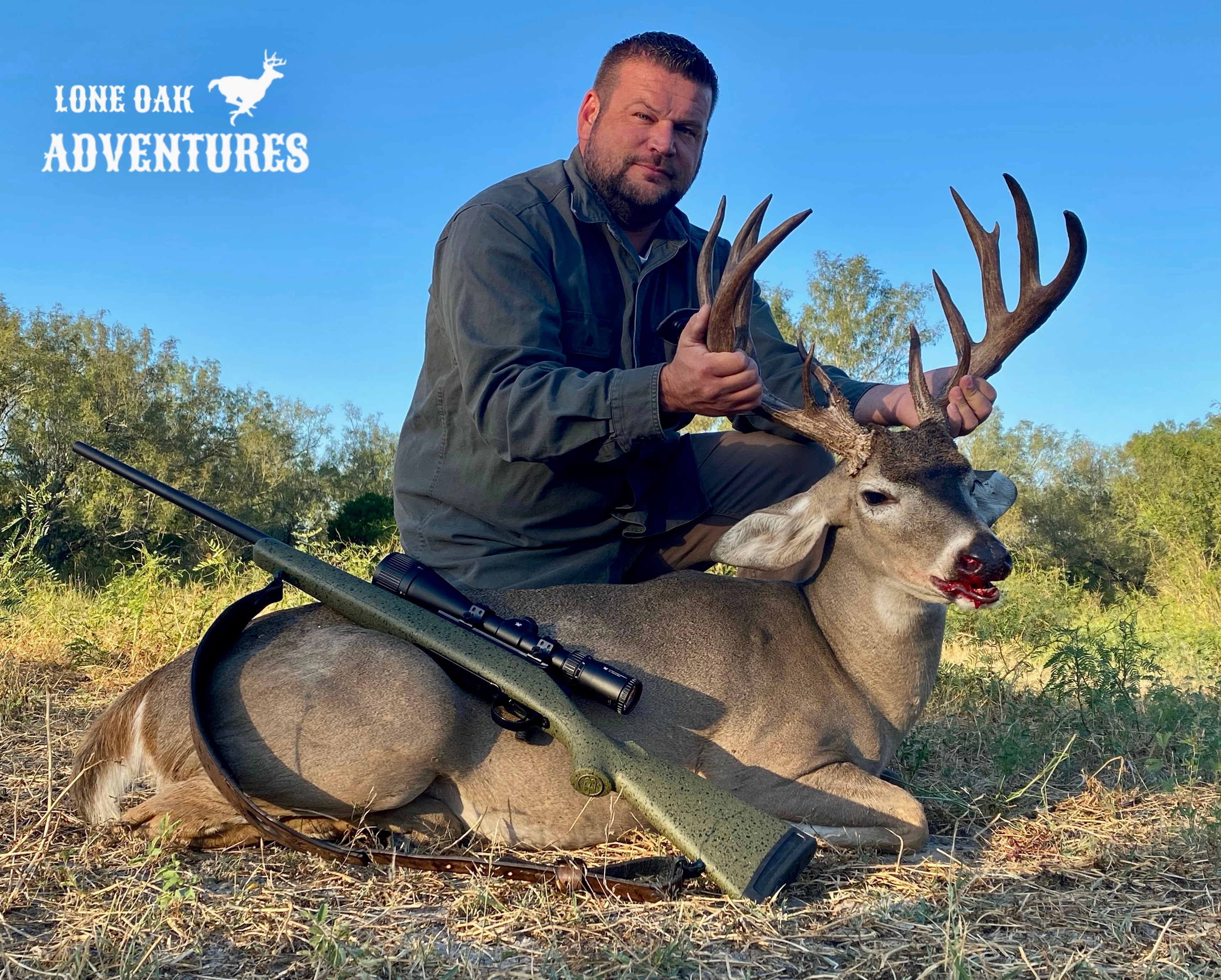 Whitetail deer buck at golden hour